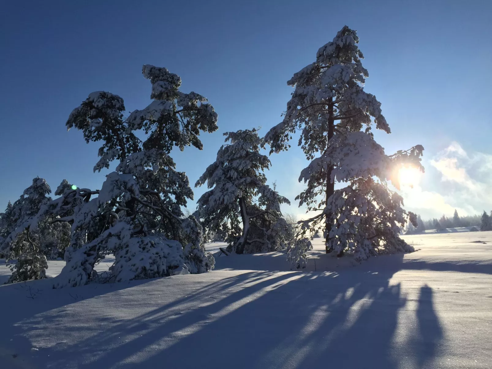 Fachwerkliebe - Image-tags.info