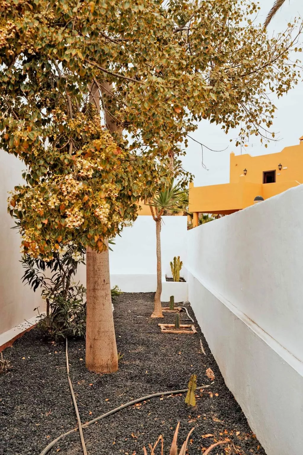 Komfortables Ferienhaus in Corralejo mit privatem Garten und beheiztem Pool - Image-tags.info