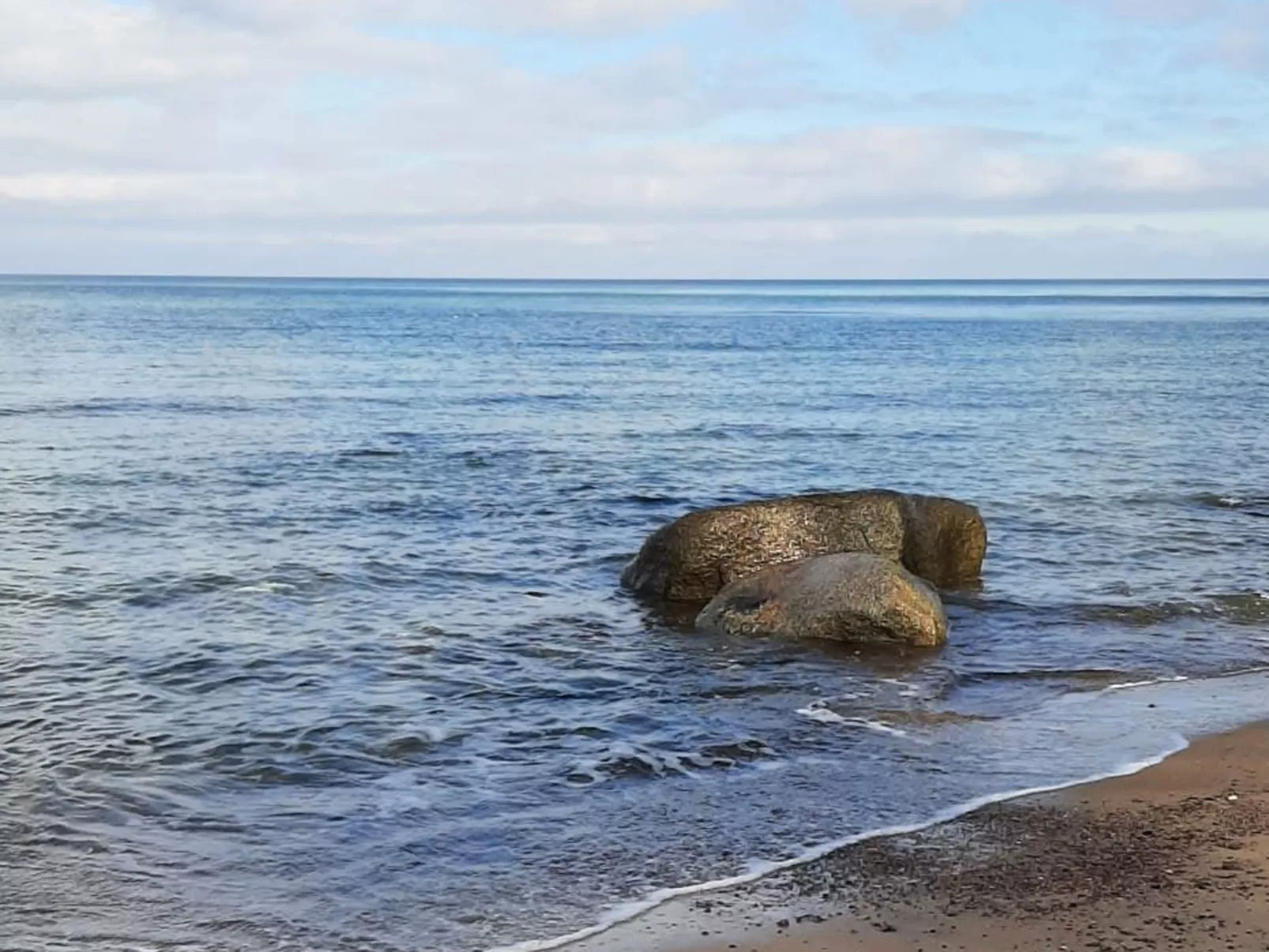 Kranichblick - Image-tags.info