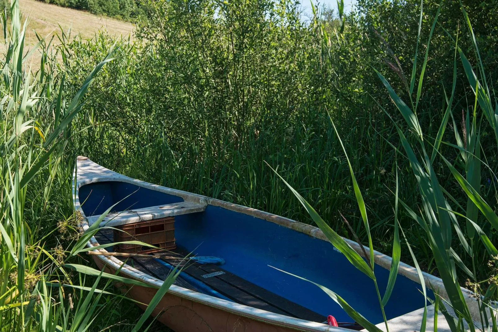 6 persoons vakantie huis in Brædstrup-By Traum-Uitzicht