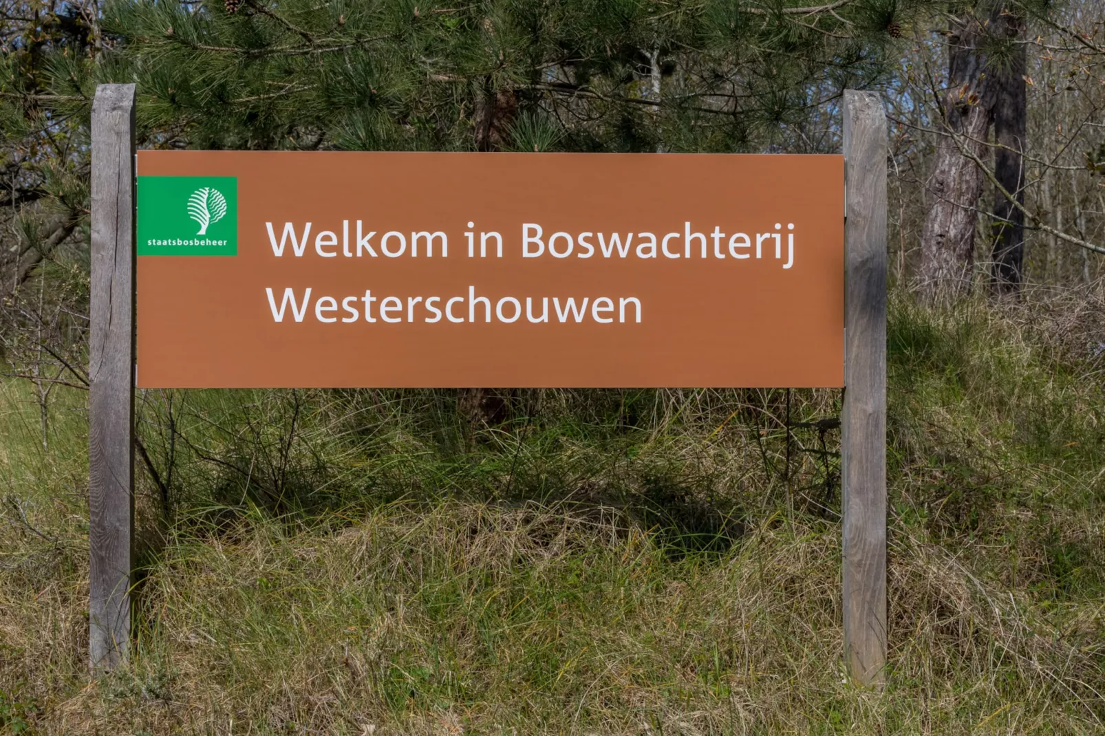 Zonnedorp 18 Duinhuis Renesse | Relaxed beach holiday for the whole family-Niet-getagd