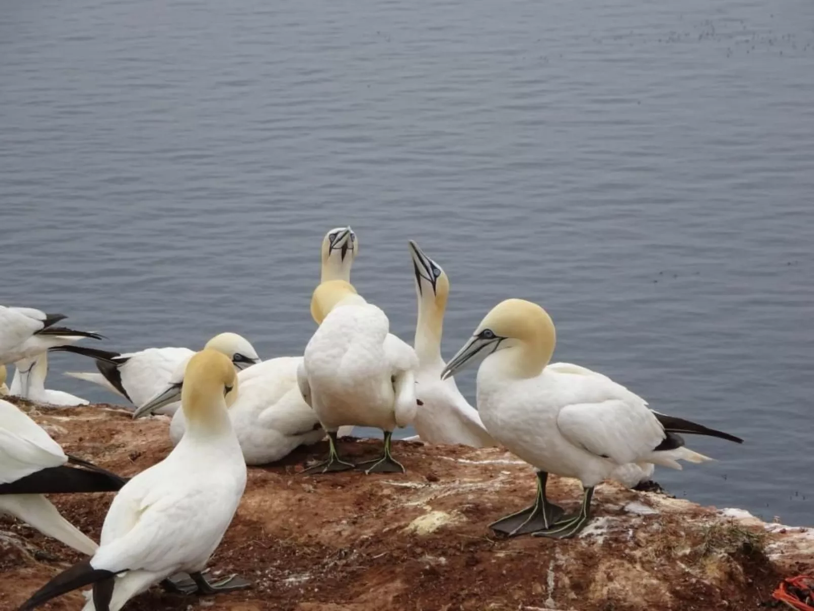 Haus Stella Maris mit Bootssteg - All Inklusive - Image-tags.info