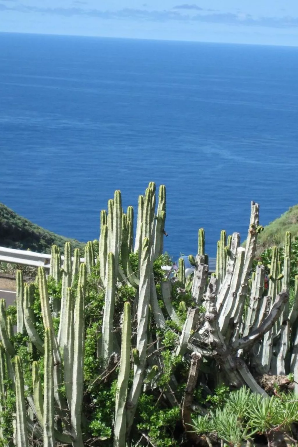 Anspruchsvolle Ferienvilla mit Panoramablick - Image-tags.info