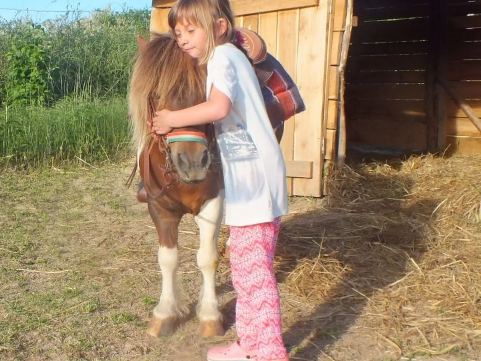 In Döbrököz mit privatem Pool - Image-tags.info