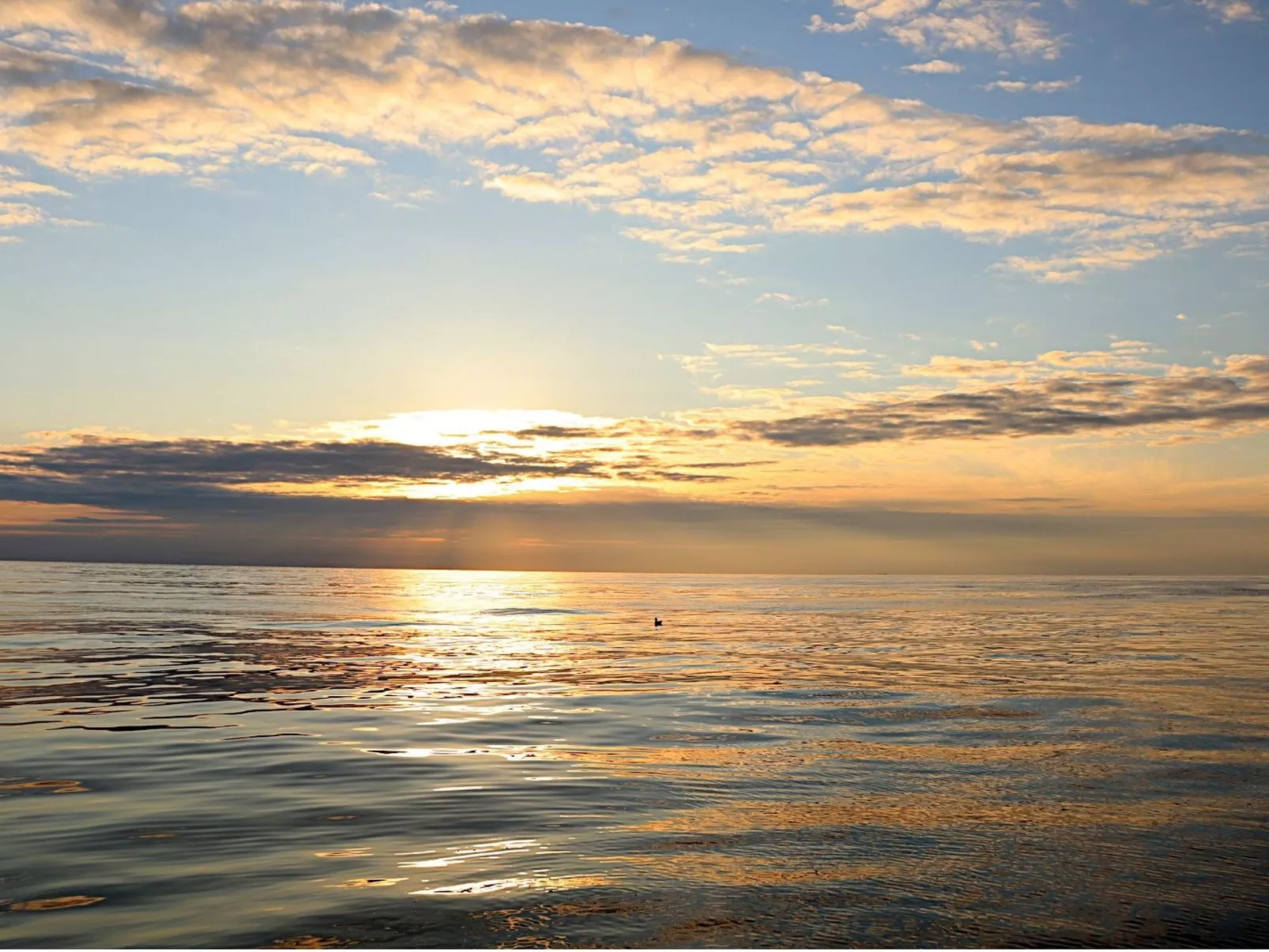 Lisa - Image-tags.info