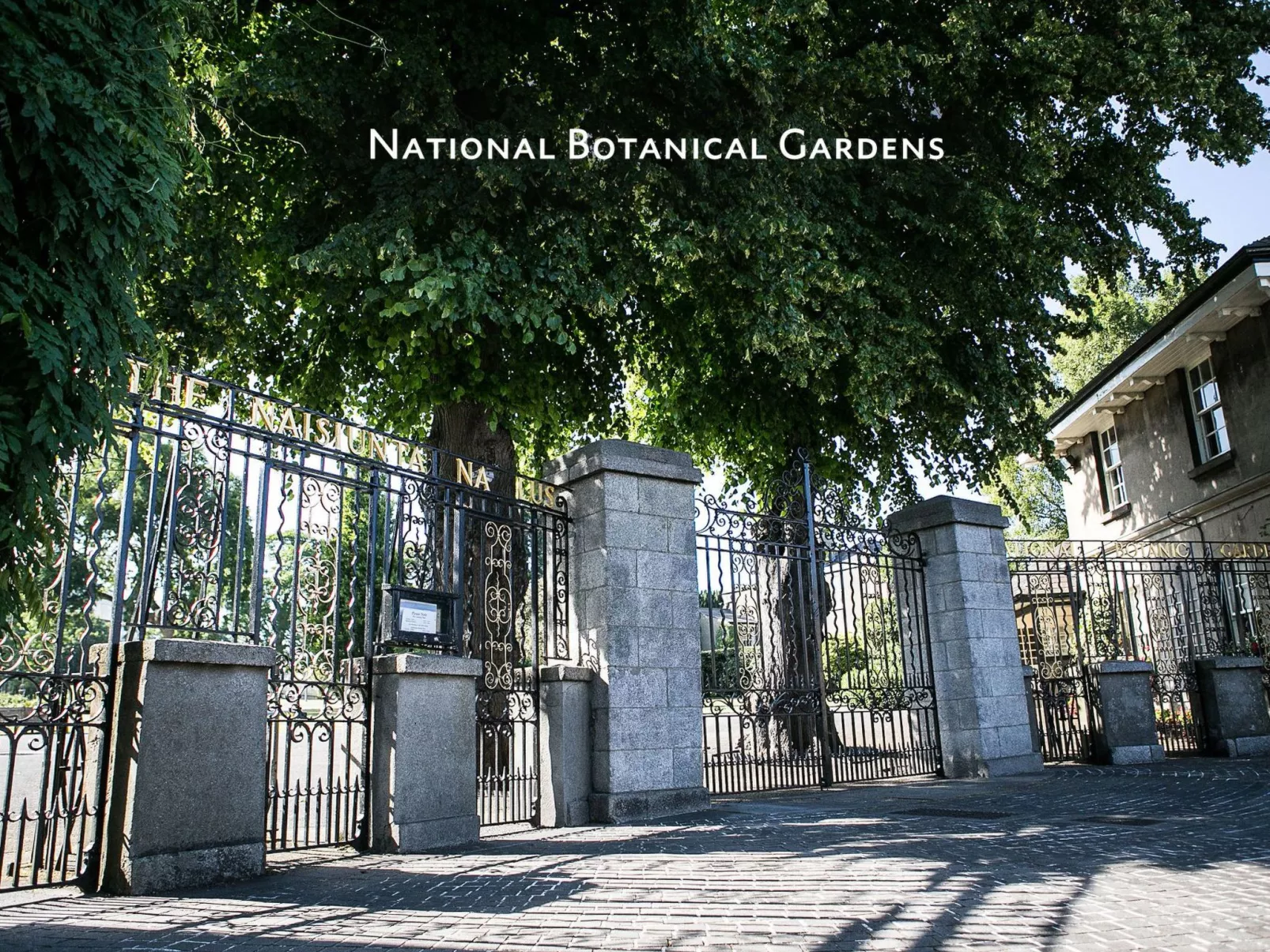 Ferienvilla "Glasnevin" - Image-tags.info