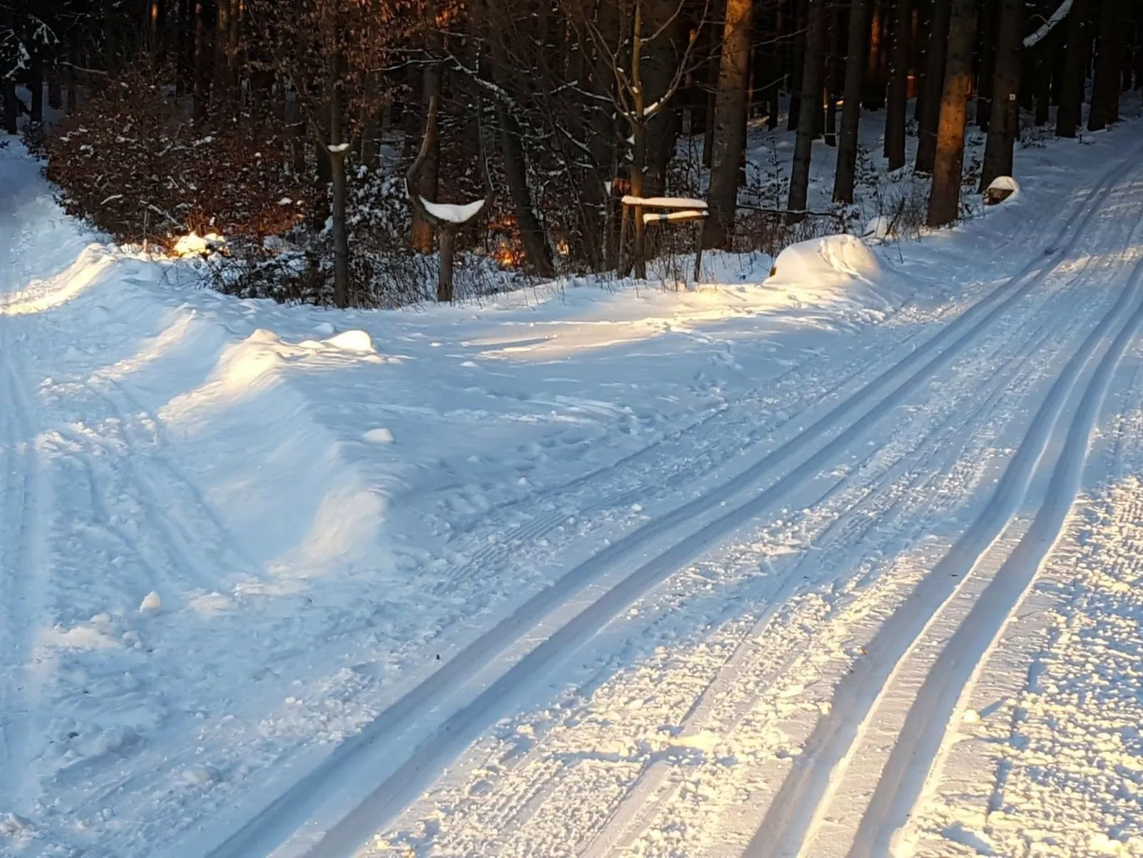 Komfortwohnung - Image-tags.info