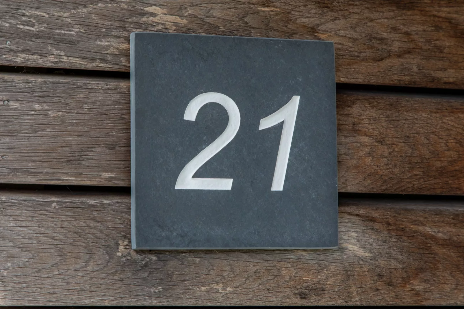Zonnedorp 21  Beach Villa Joya Renesse | Luxury Beach Villa with Sauna - Sfeer