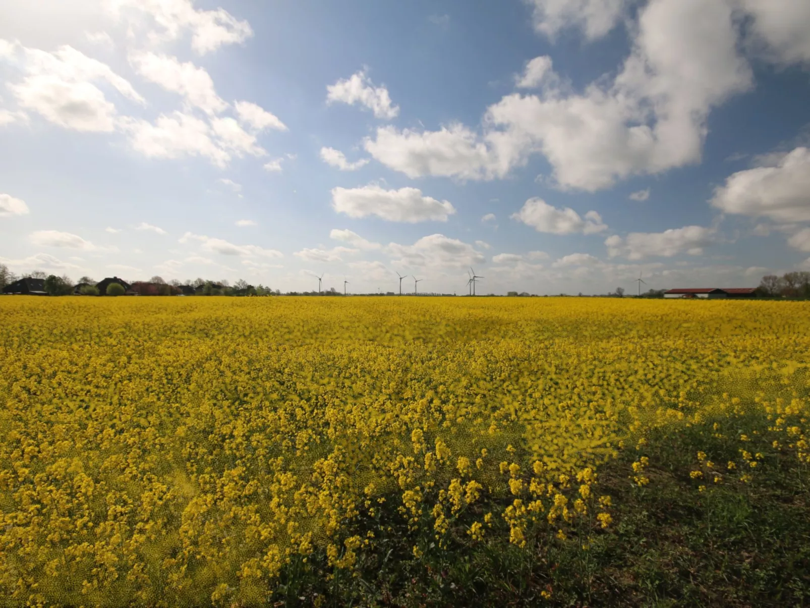 Landgut mit Dachterrasse - Buiten