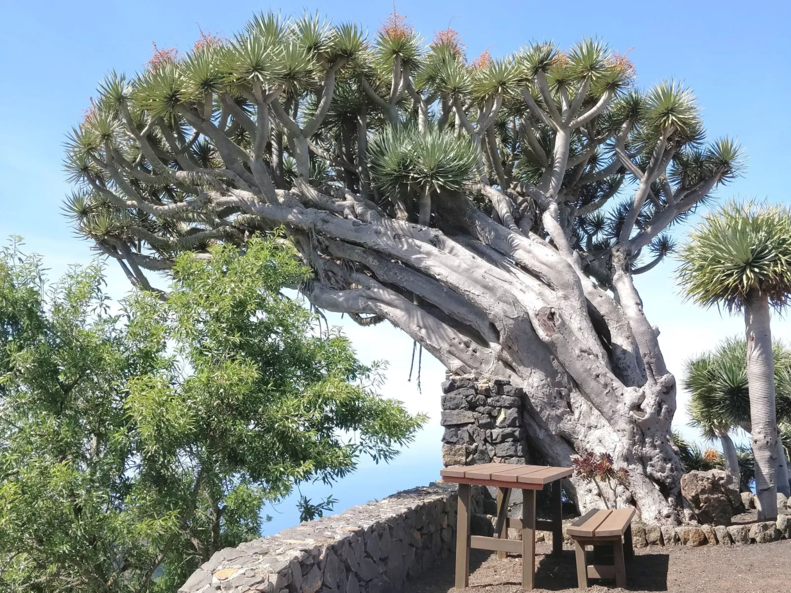 Nettes Ferienhaus in Tijarafe mit Privatem Pool und Panoramablick - Image-tags.info