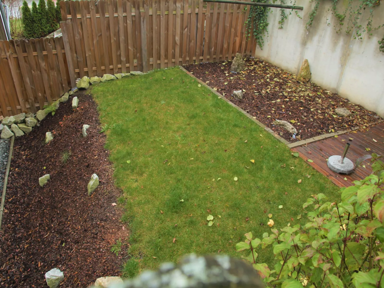 Livi - Image-tags.info