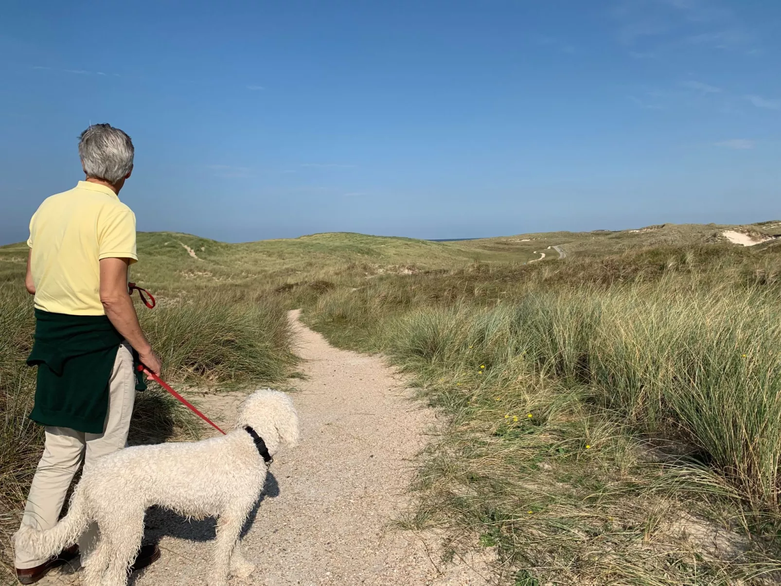 Mit Garten, Grill und Terrasse - Image-tags.info