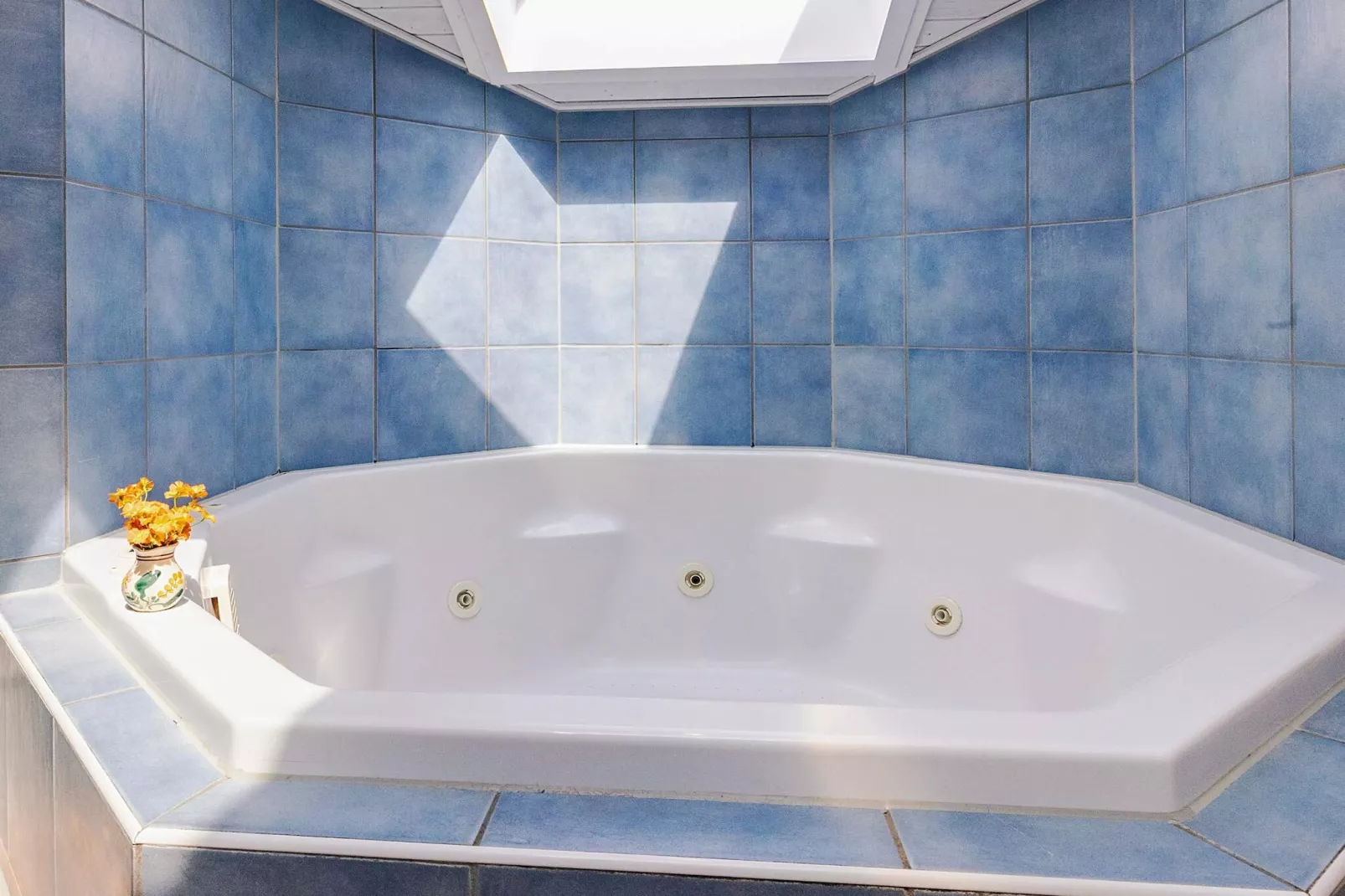 4 sterren vakantie huis in FRIEDRICHKOOG-Binnen