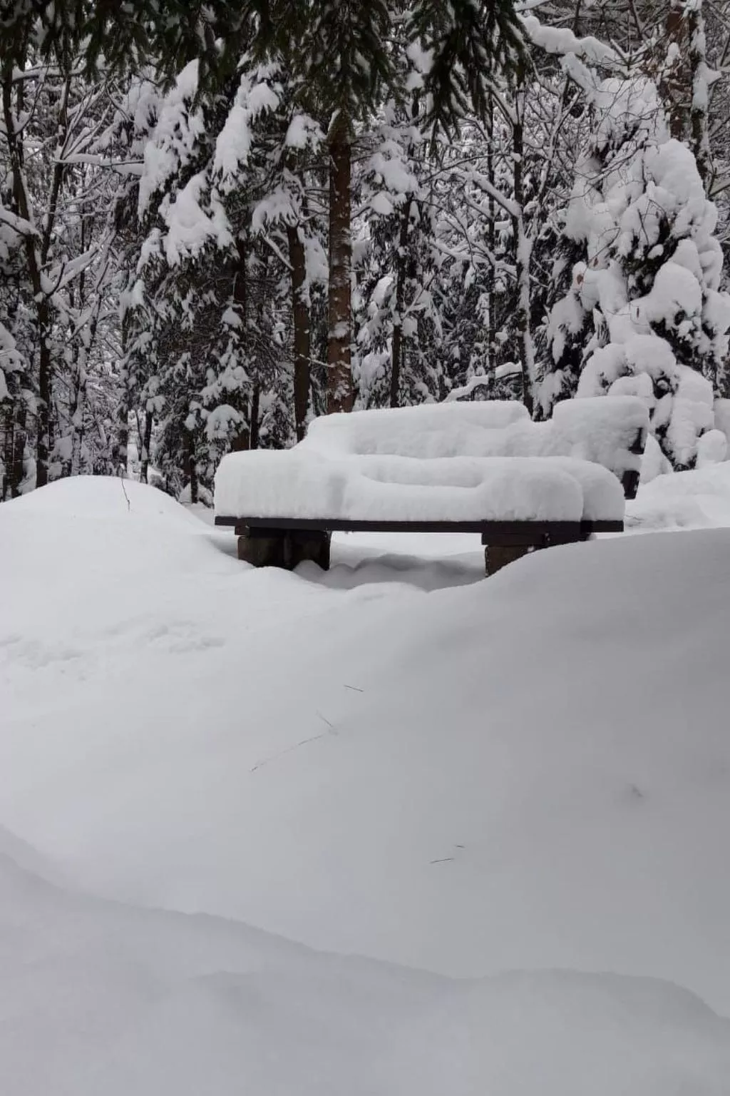 Jägerhaus - Image-tags.info