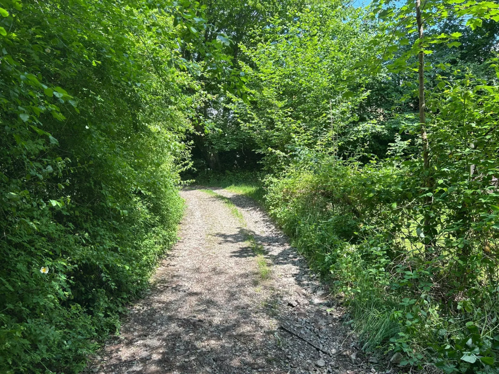 The Forest Retreat - Image-tags.info