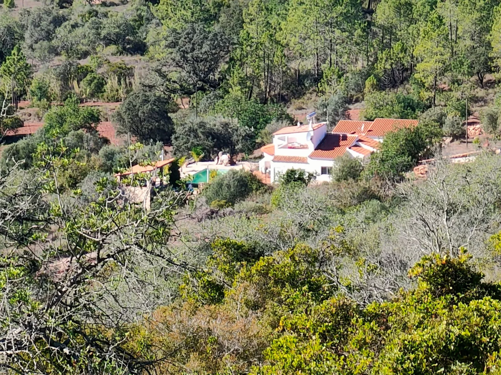 Casa Vale Vinagre, schöne Villa in der Natur - Image-tags.info