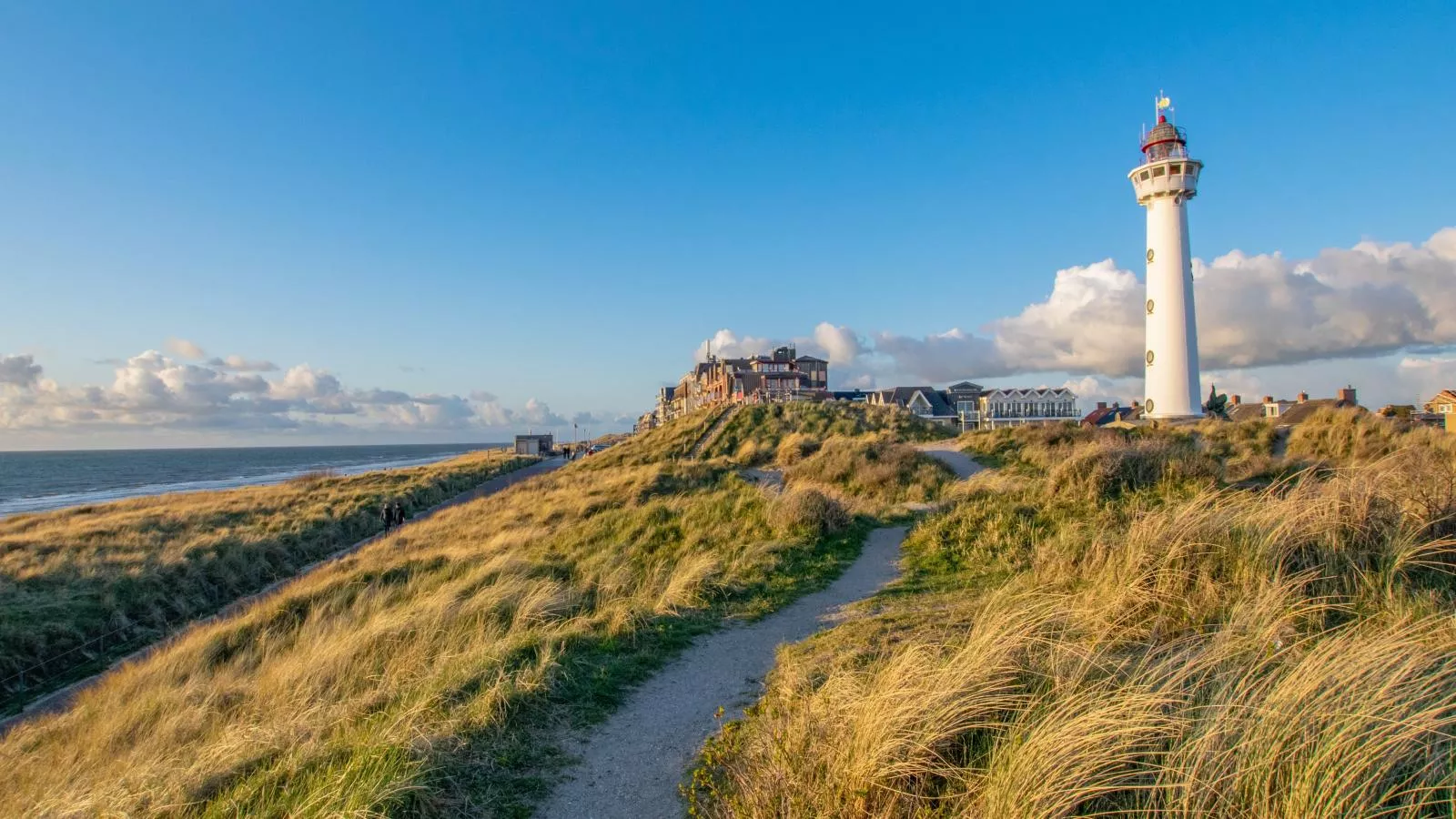 Duinland - Gebieden zomer 1km