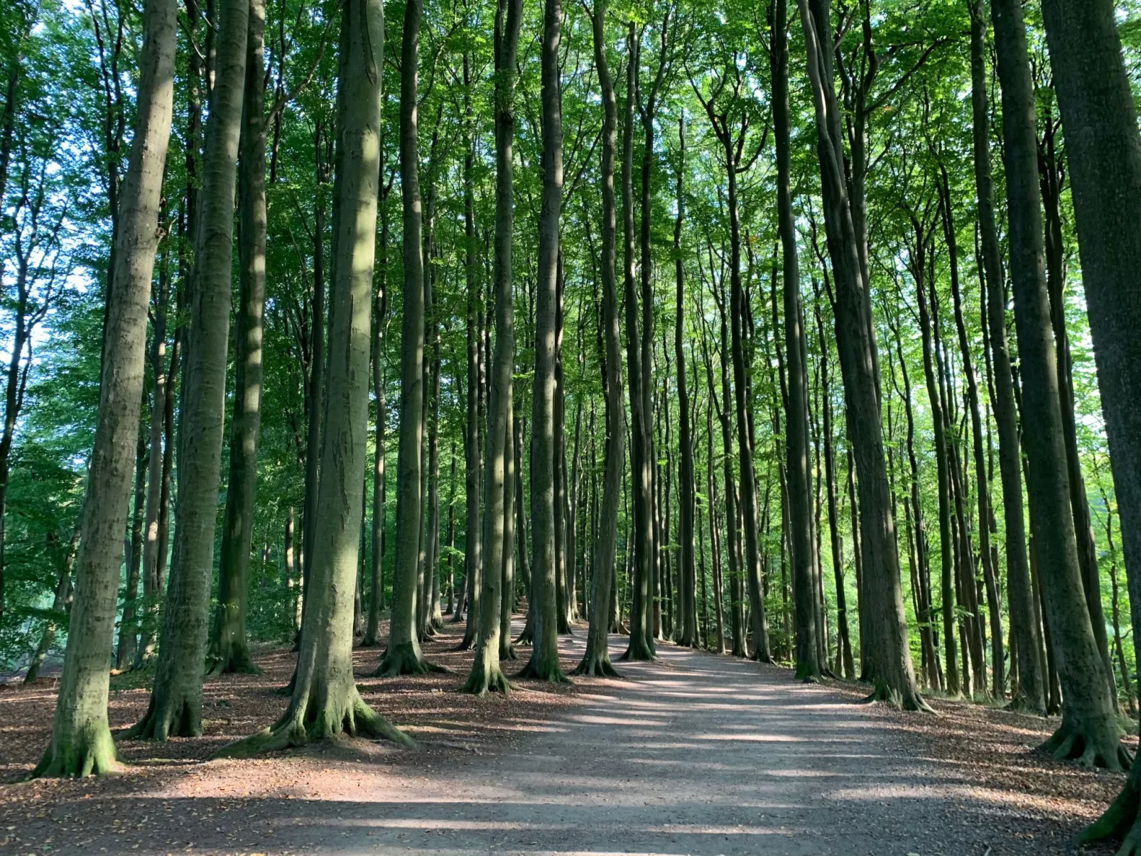 Moderne 3-Zimmer Maisonettewohnung in der Natur - Image-tags.info