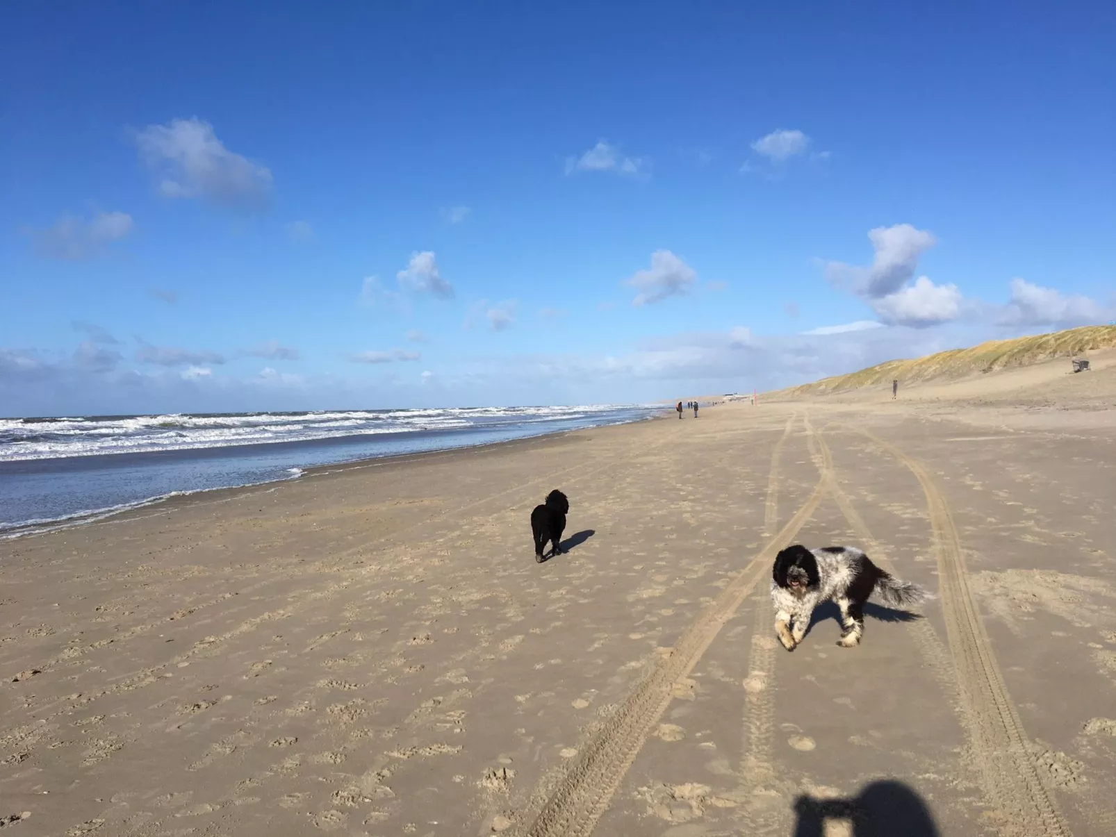 Mit Garten, Grill und Terrasse - Image-tags.info