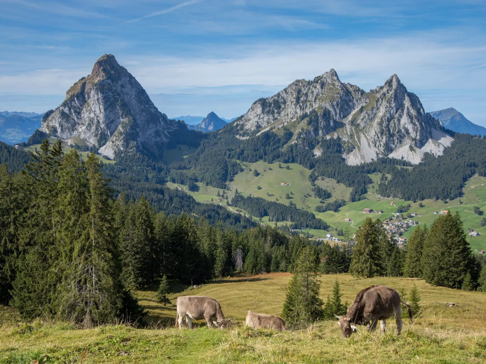 4 Seasons Apartment - Image-tags.info