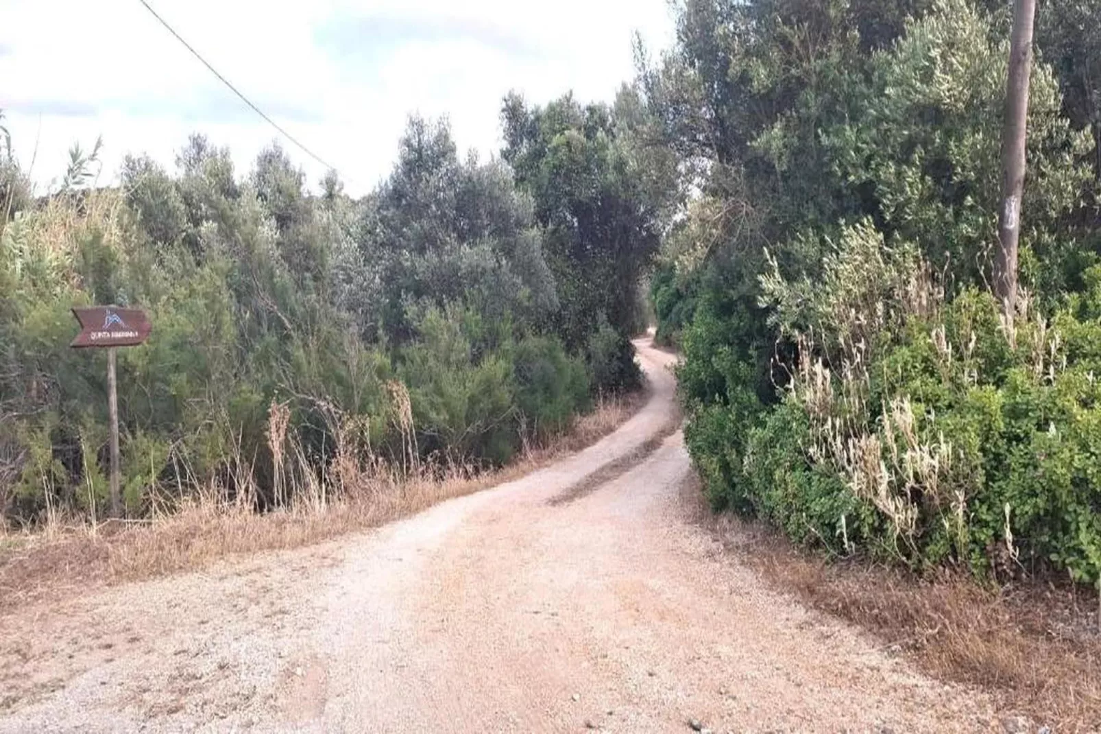 Quinta Velha - Gebieden zomer 20km