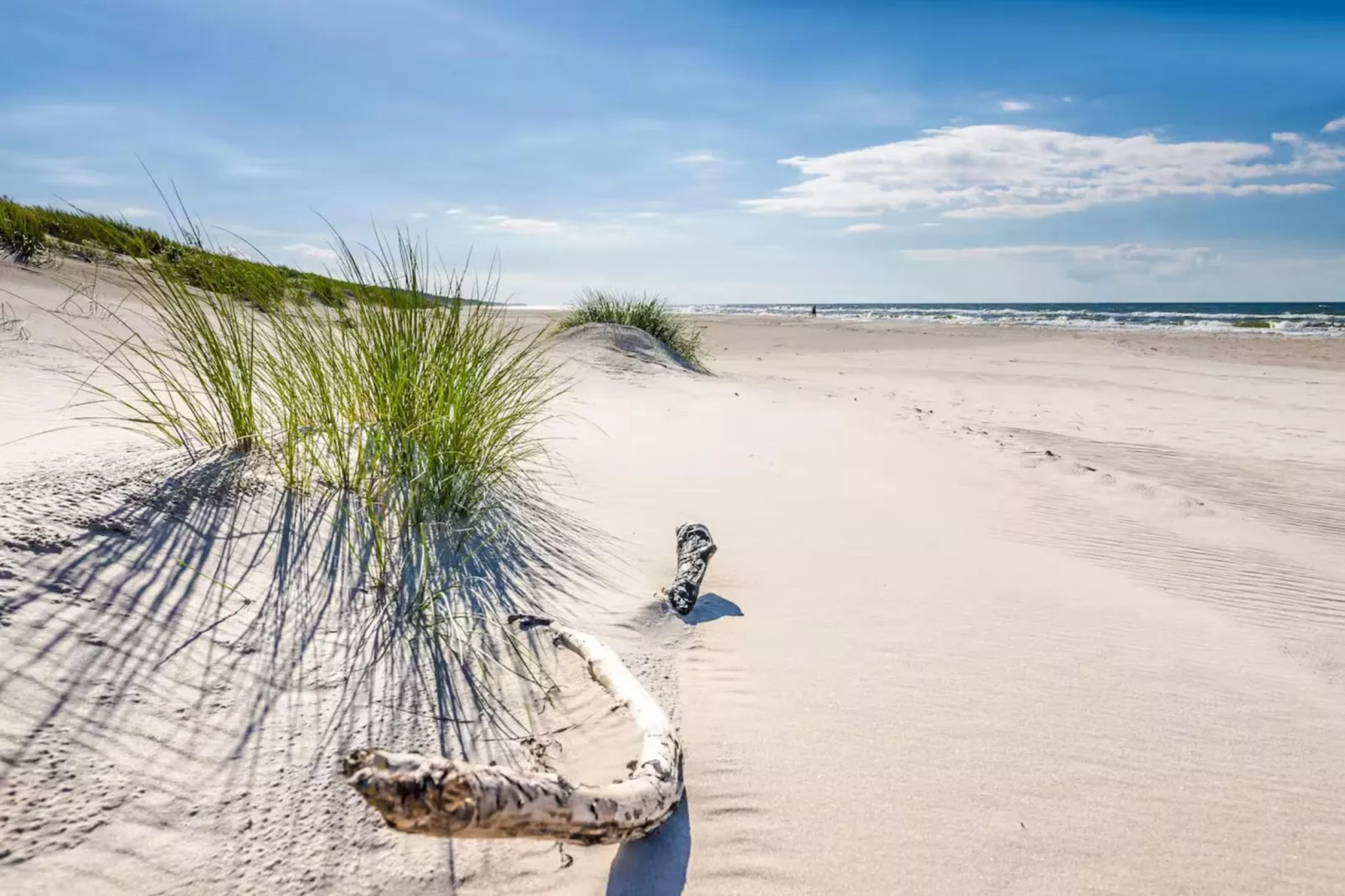 Dom wakacyjny w Sasinie dla max 10 osób - Uitzicht