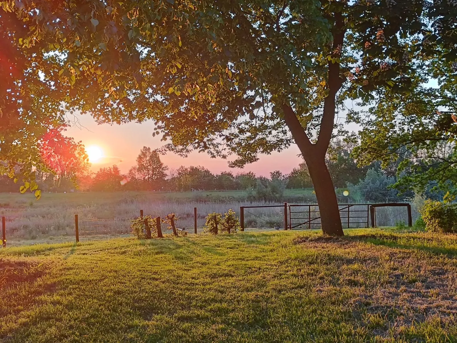 Coproyshof am See - Image-tags.info