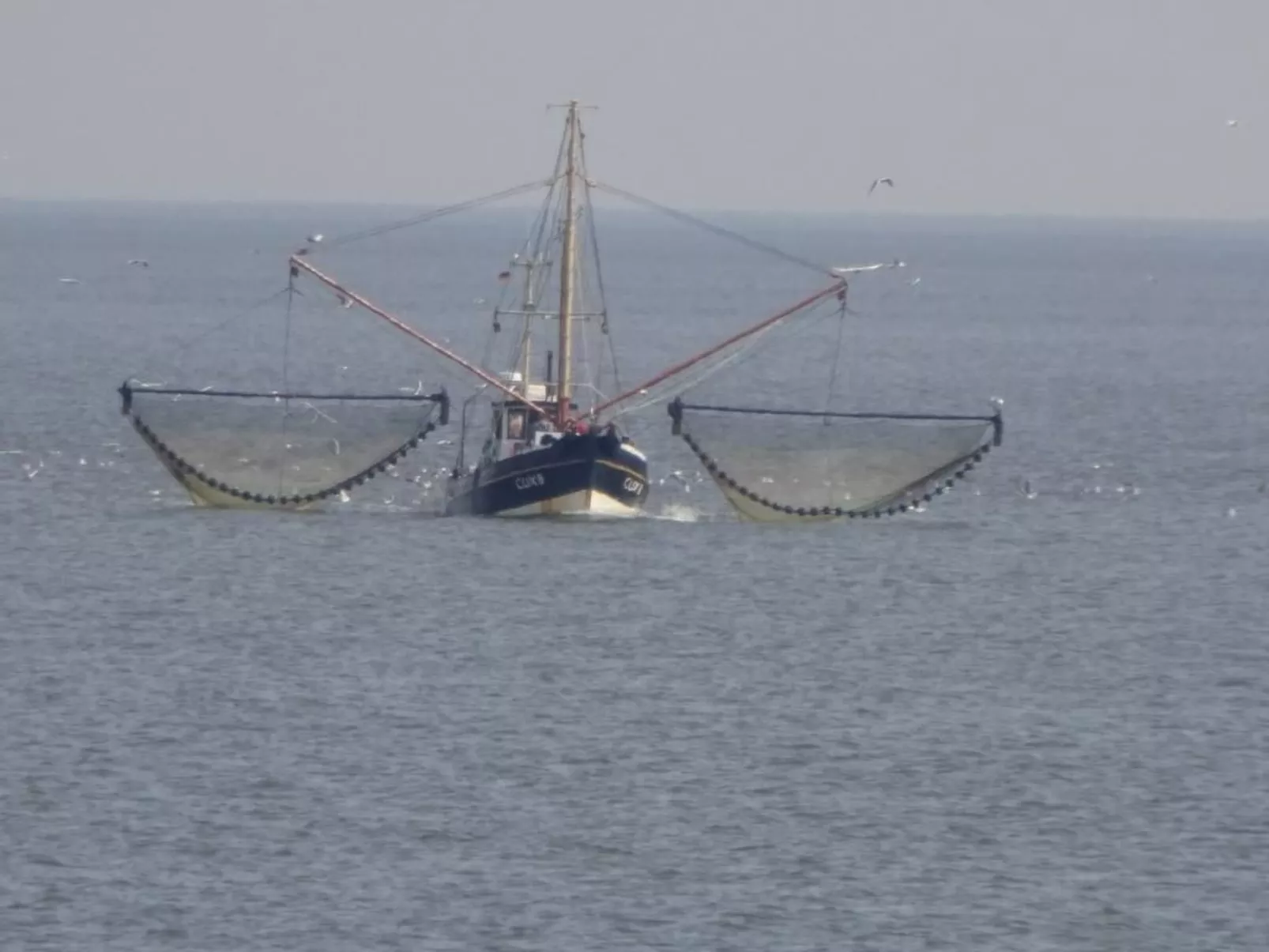 Wellnesshaus Seeperle - All Inklusive - Image-tags.info