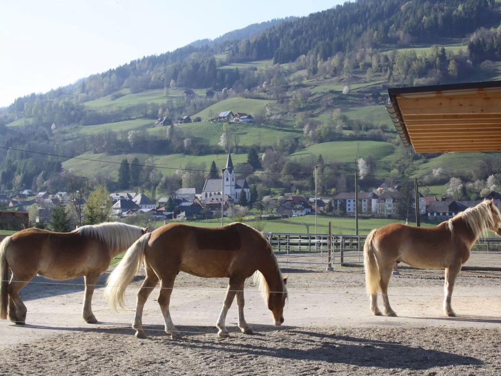 In Murau mit Privatem Pool - Image-tags.info