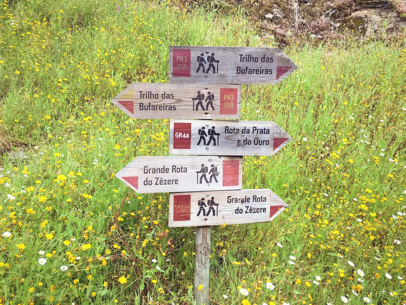 Ferienvilla "Blue Lake House" mit Sauna - Image-tags.info