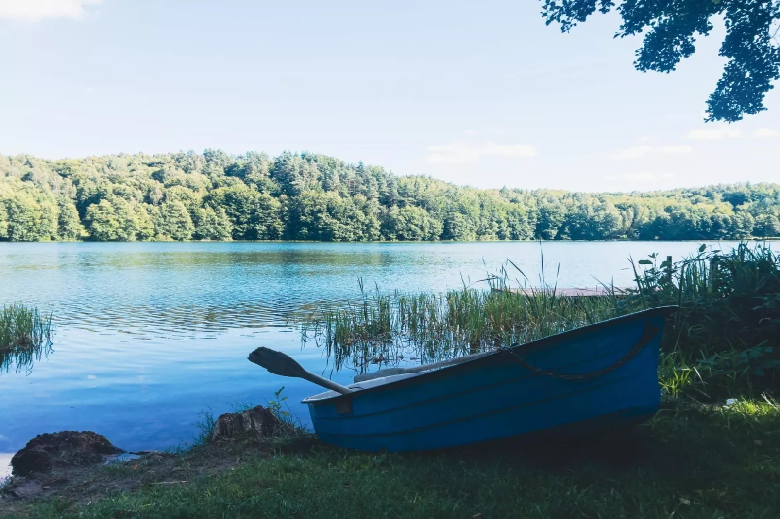 Dom w Starych Czaplach z domkiem na drzewie-Waterzicht
