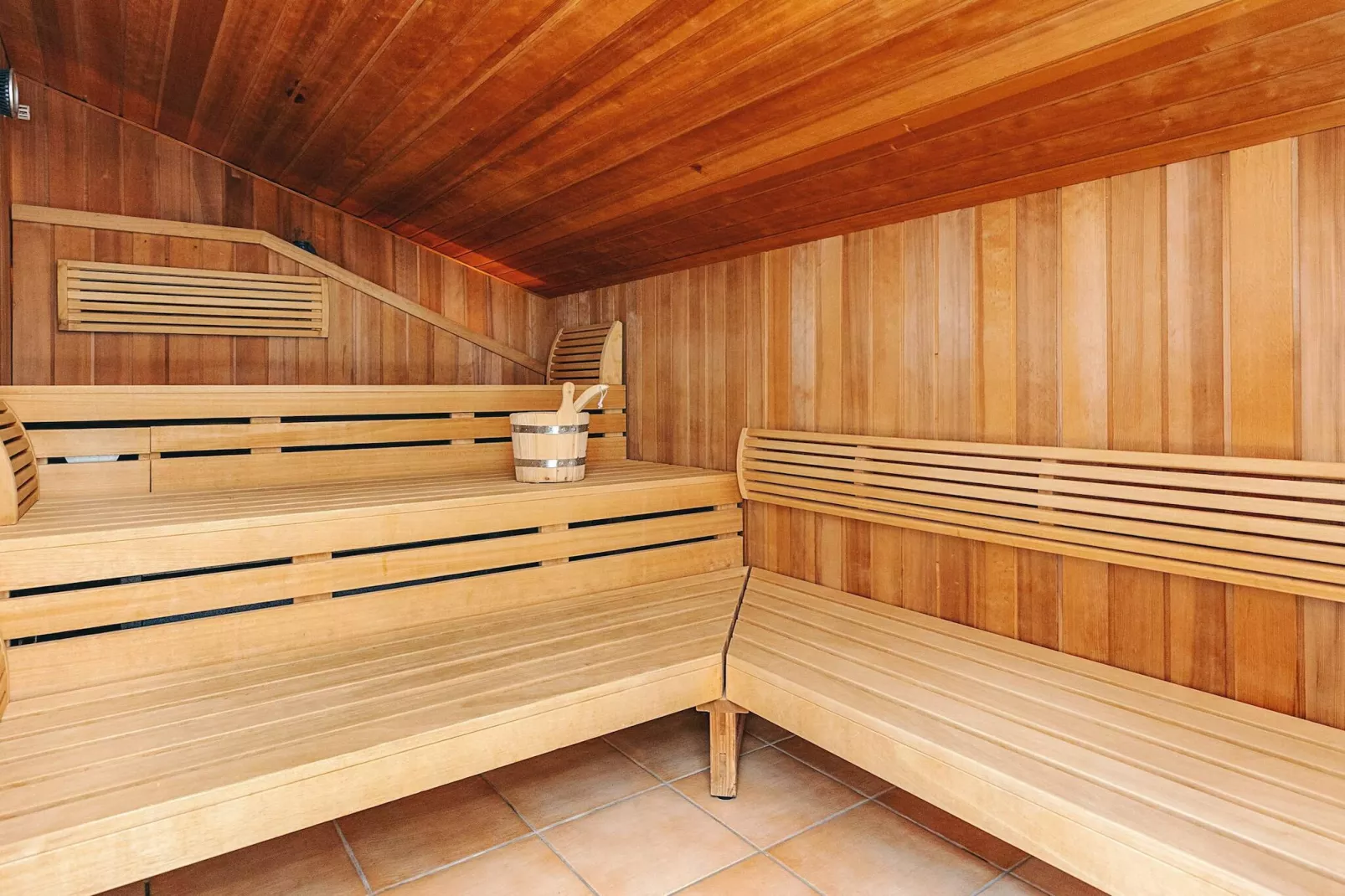 4 sterren vakantie huis in FRIEDRICHKOOG-Sauna