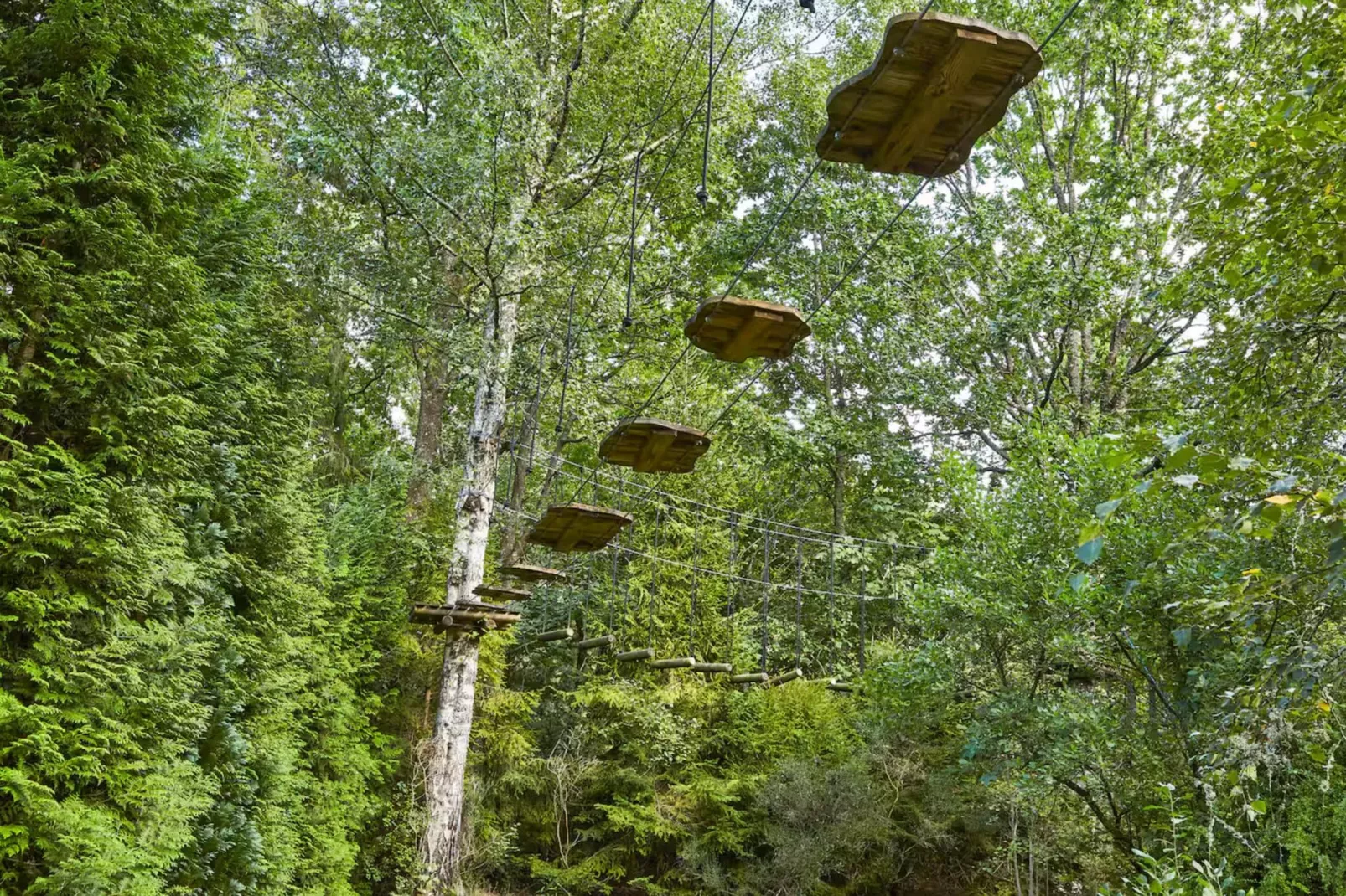 Dom wakacyjny w Sasinie dla max 10 osób - Uitzicht