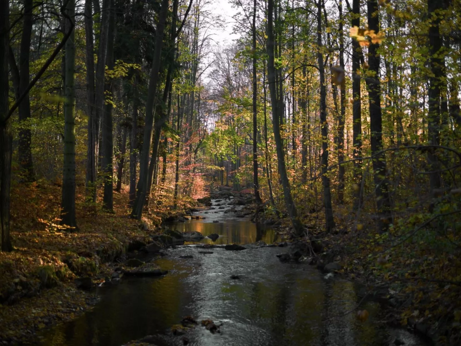 Jägerhaus - Image-tags.info