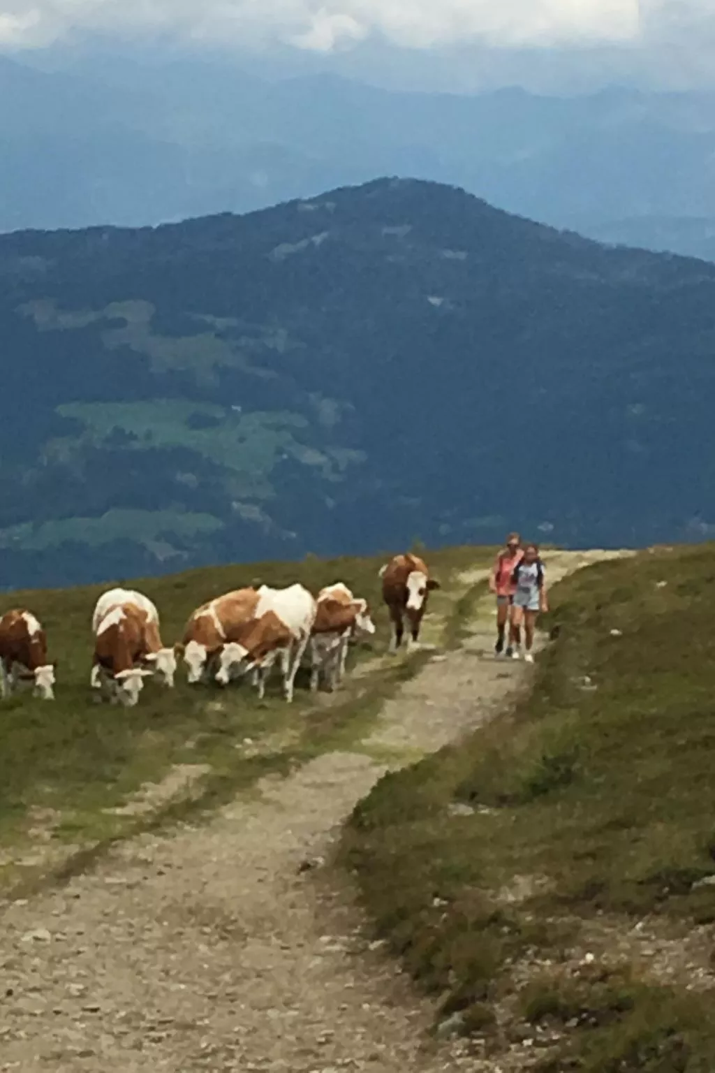 In Murau mit Privatem Pool - Image-tags.info