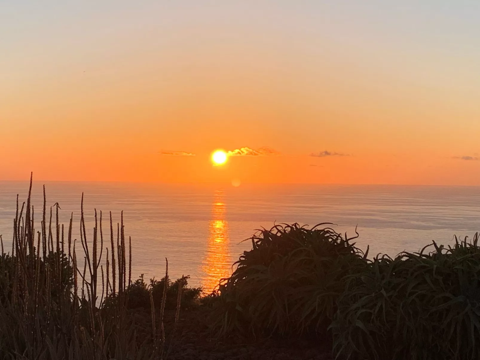 Romantische Ferienvilla mit Infinity-Pool und Panoramameerblick - Image-tags.info