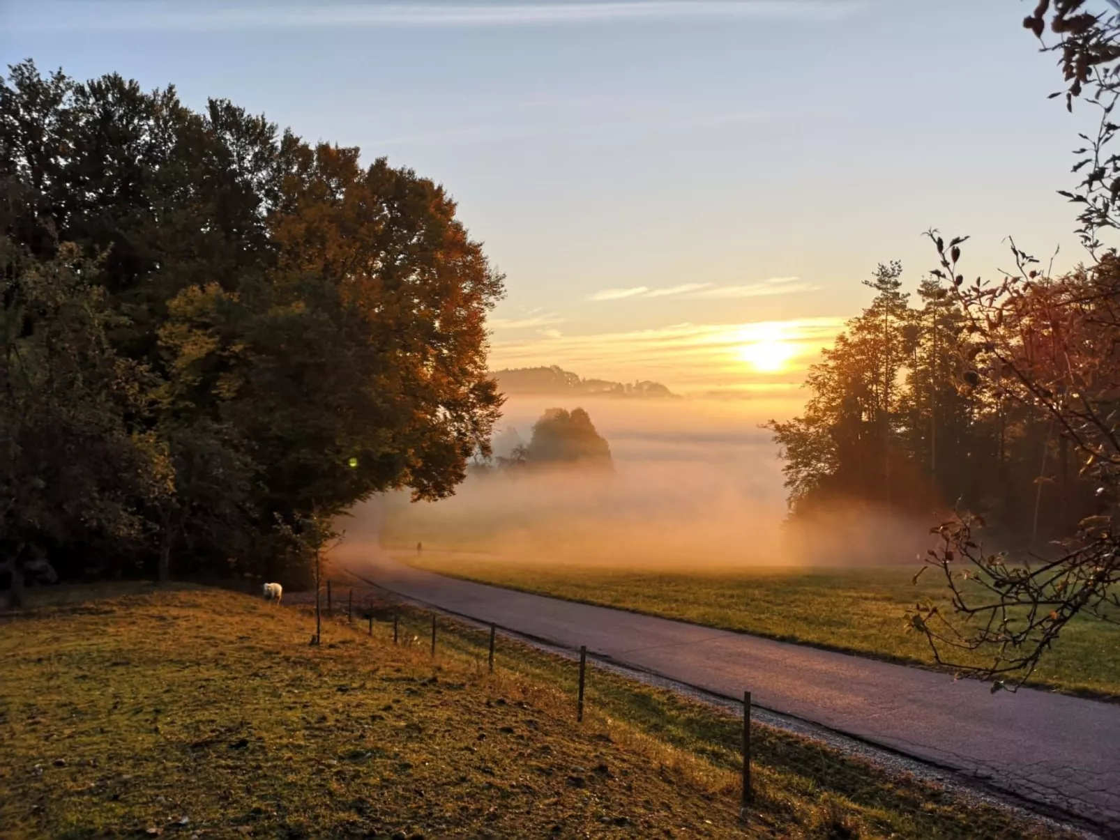 Appartement Apollo in der Wohlfühloase am Trausdorfberg mit Sauna Whirlpoolnutz-Image-tags.info