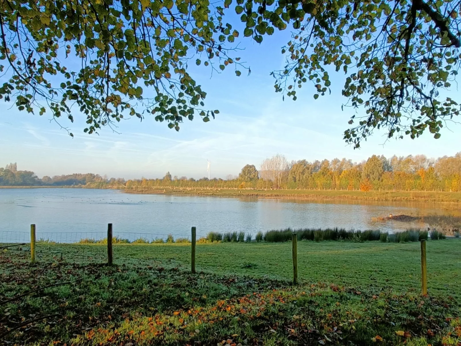 Coproyshof am See - Image-tags.info