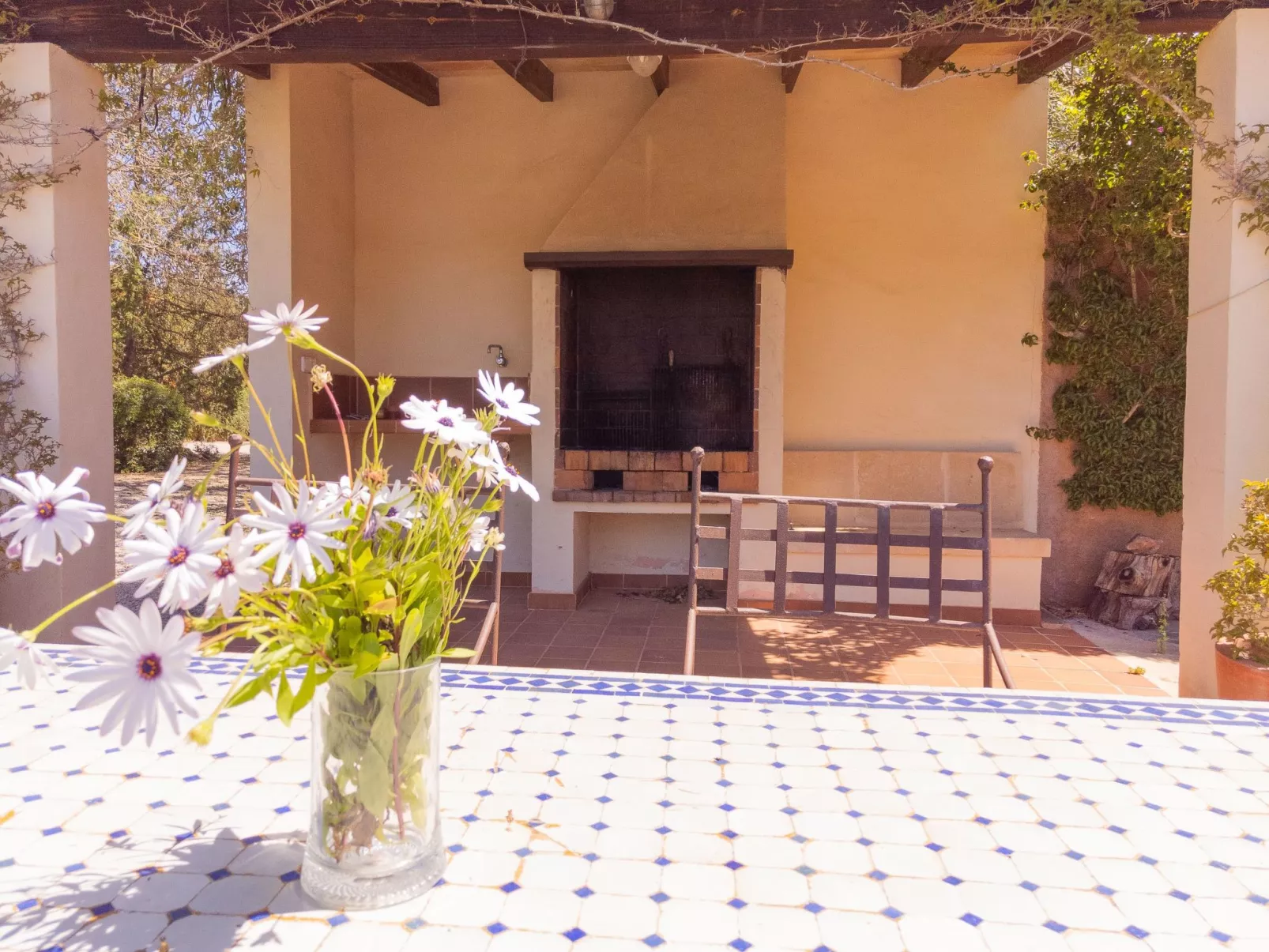 Finca Mal Ric - Buiten