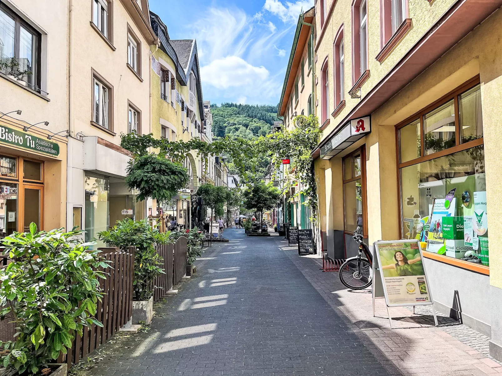 Moselromance mit großer Sonnenterrasse - Omgeving