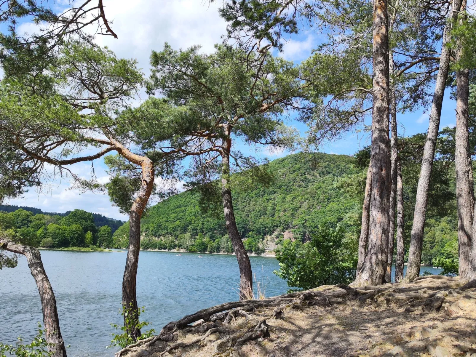 Für 6 Personen ca. 60 m&sup2; in Diemelsee-Heringhausen, Hessen (Hessisches Ber - Image-tags.info