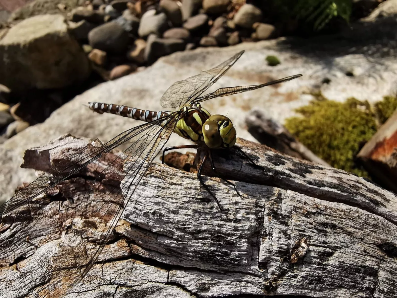 Jägerhaus - Image-tags.info