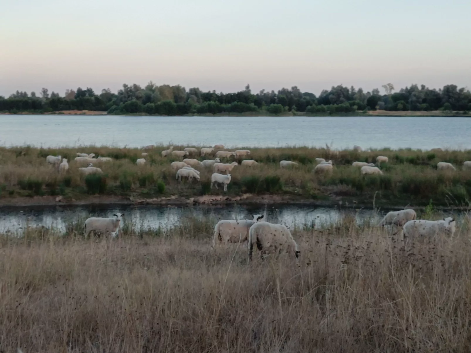 Coproyshof am See - Image-tags.info