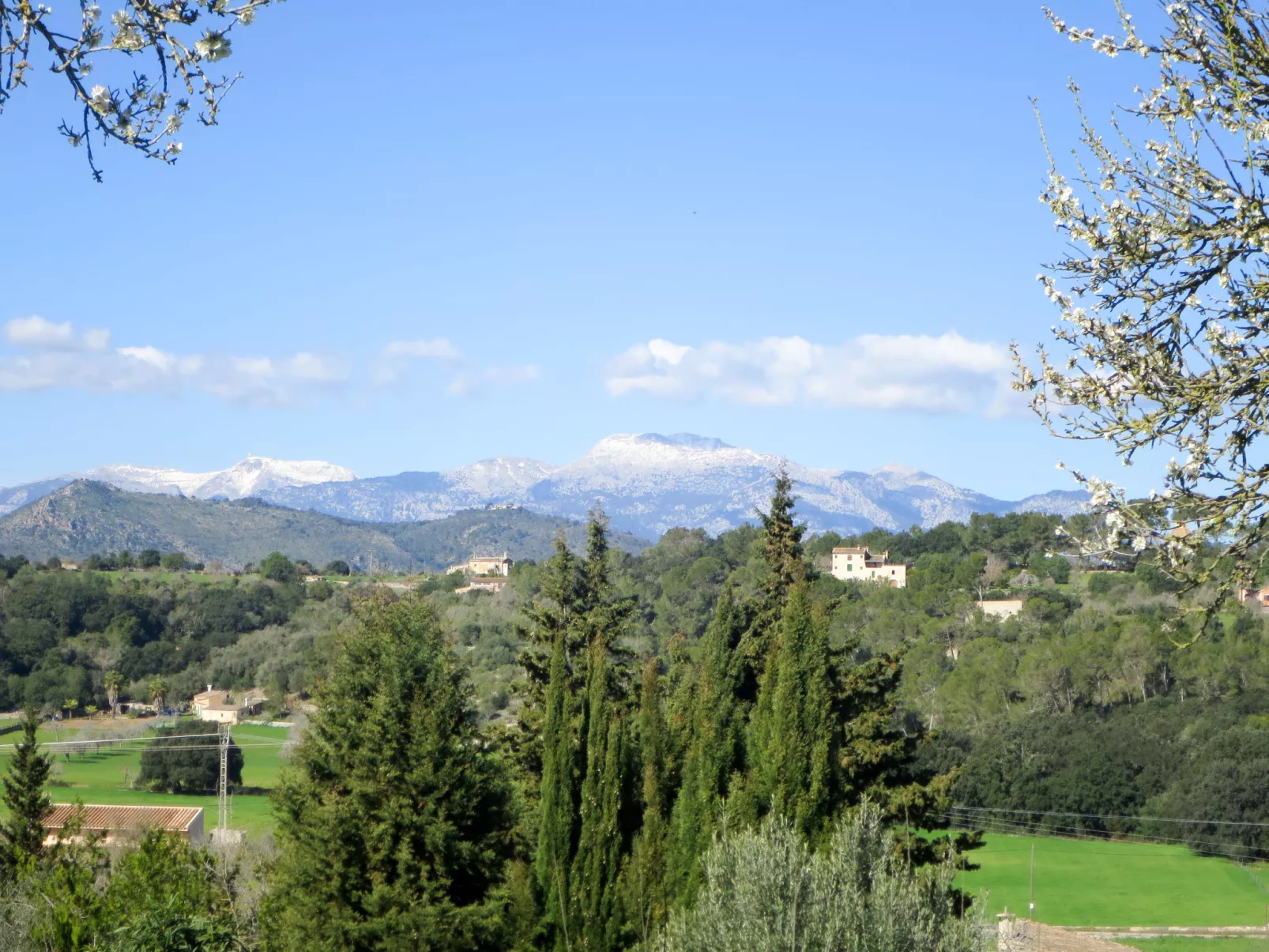 Mulet Llubi - Omgeving