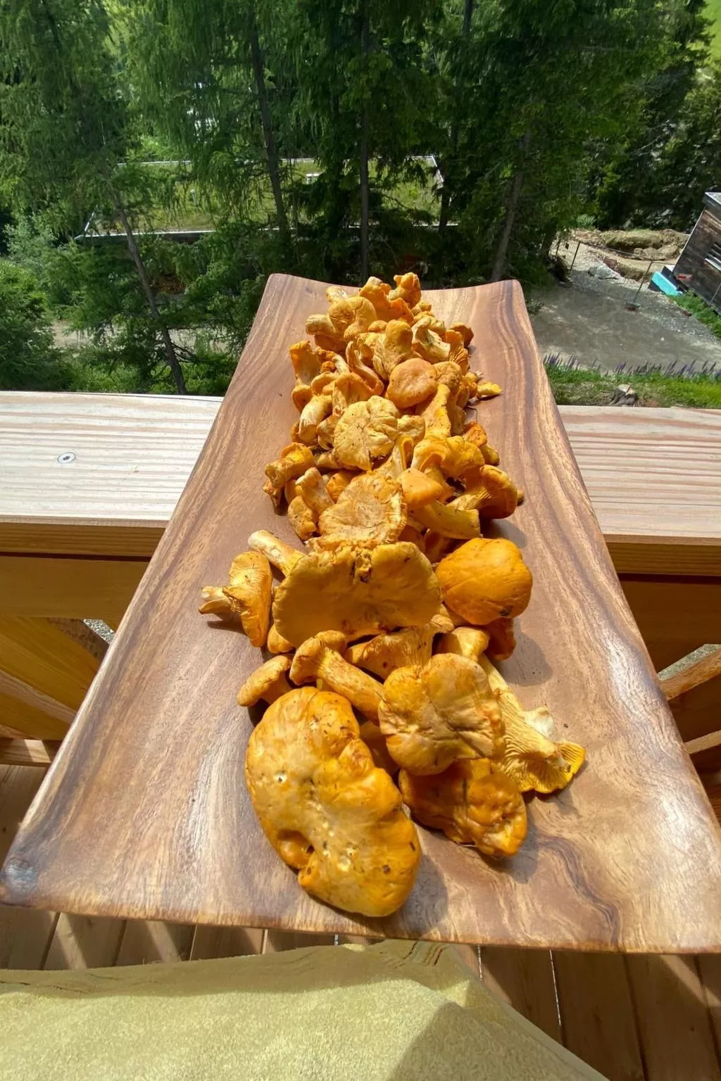 Jagdhütte - Image-tags.info