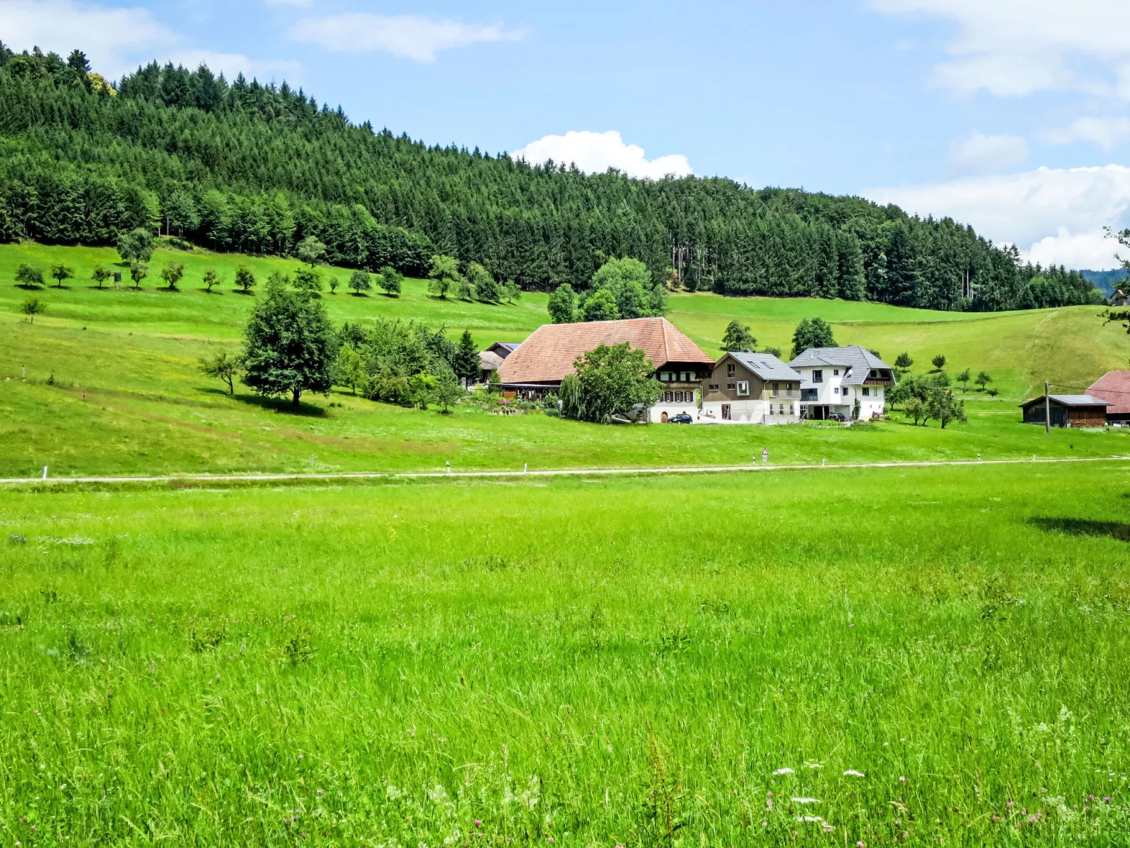 Kinast (HFT201) - Buiten