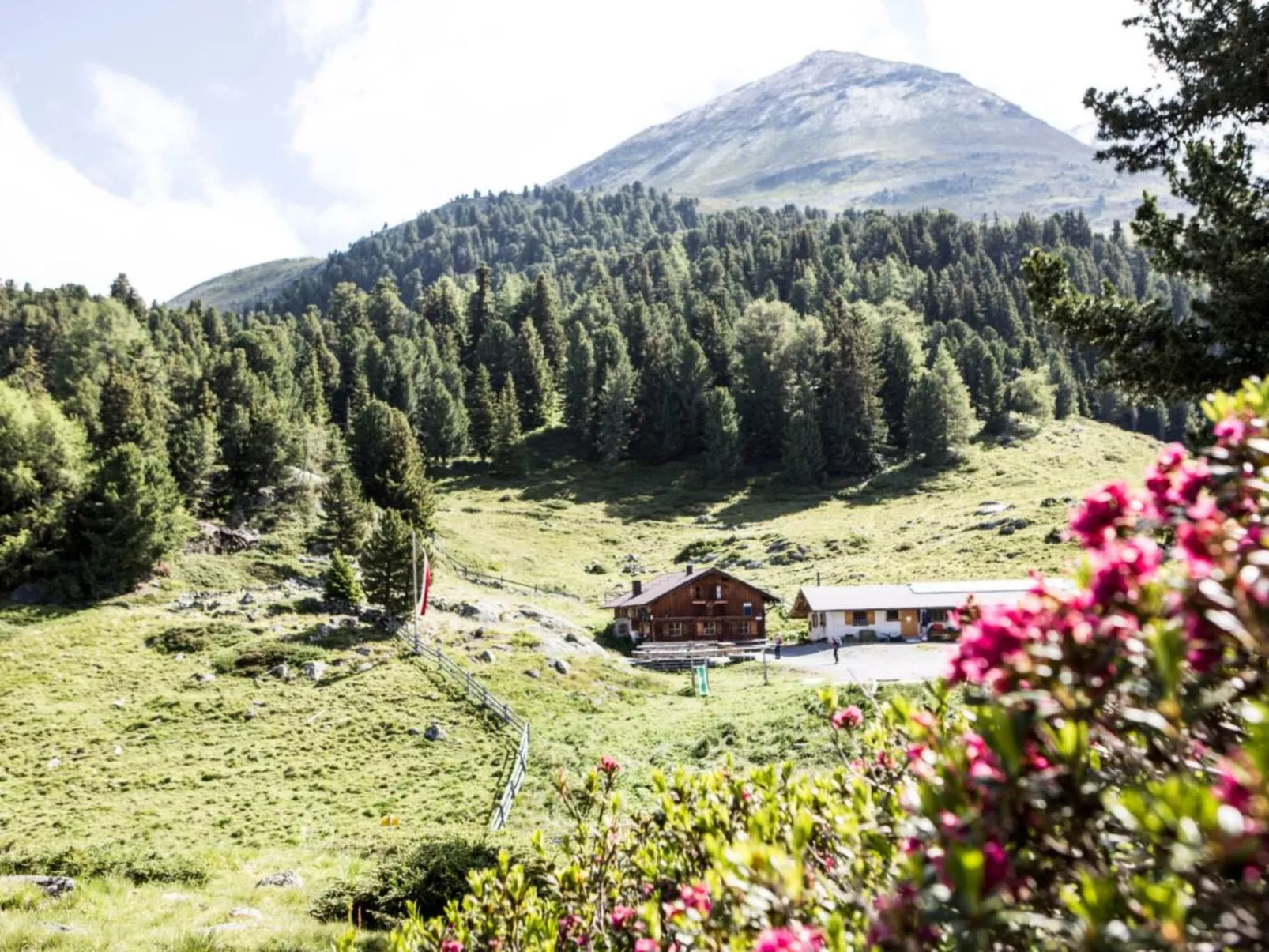 Apart  Bieles NEU - Image-tags.info