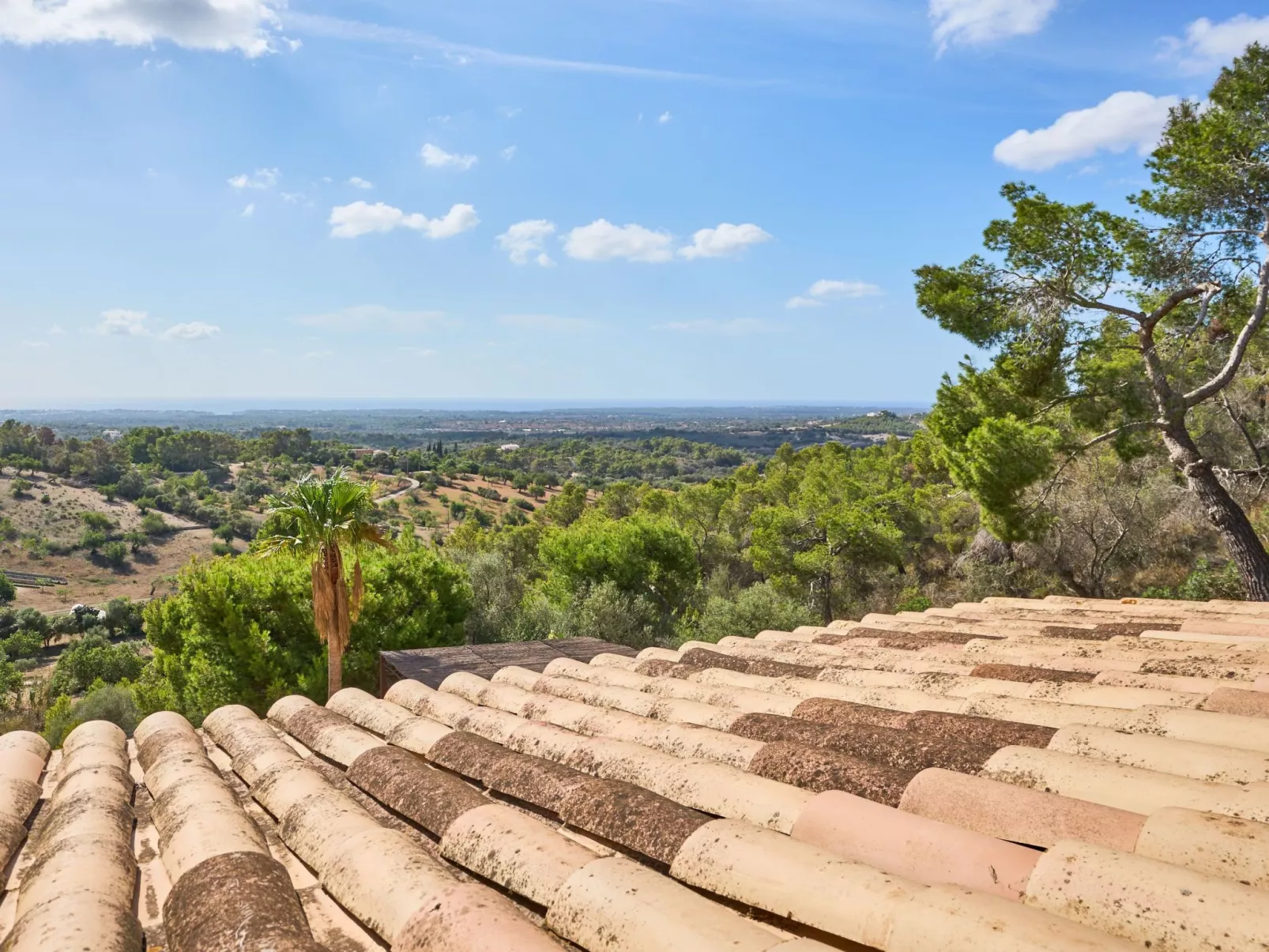 Puig de sa Figuera - Buiten
