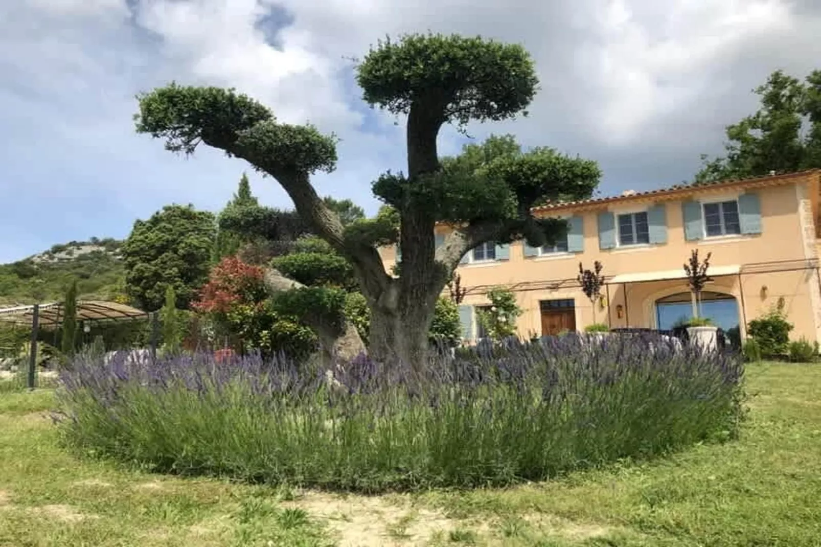 Villa provencale à Murs coeur du Luberon-Tuinen zomer