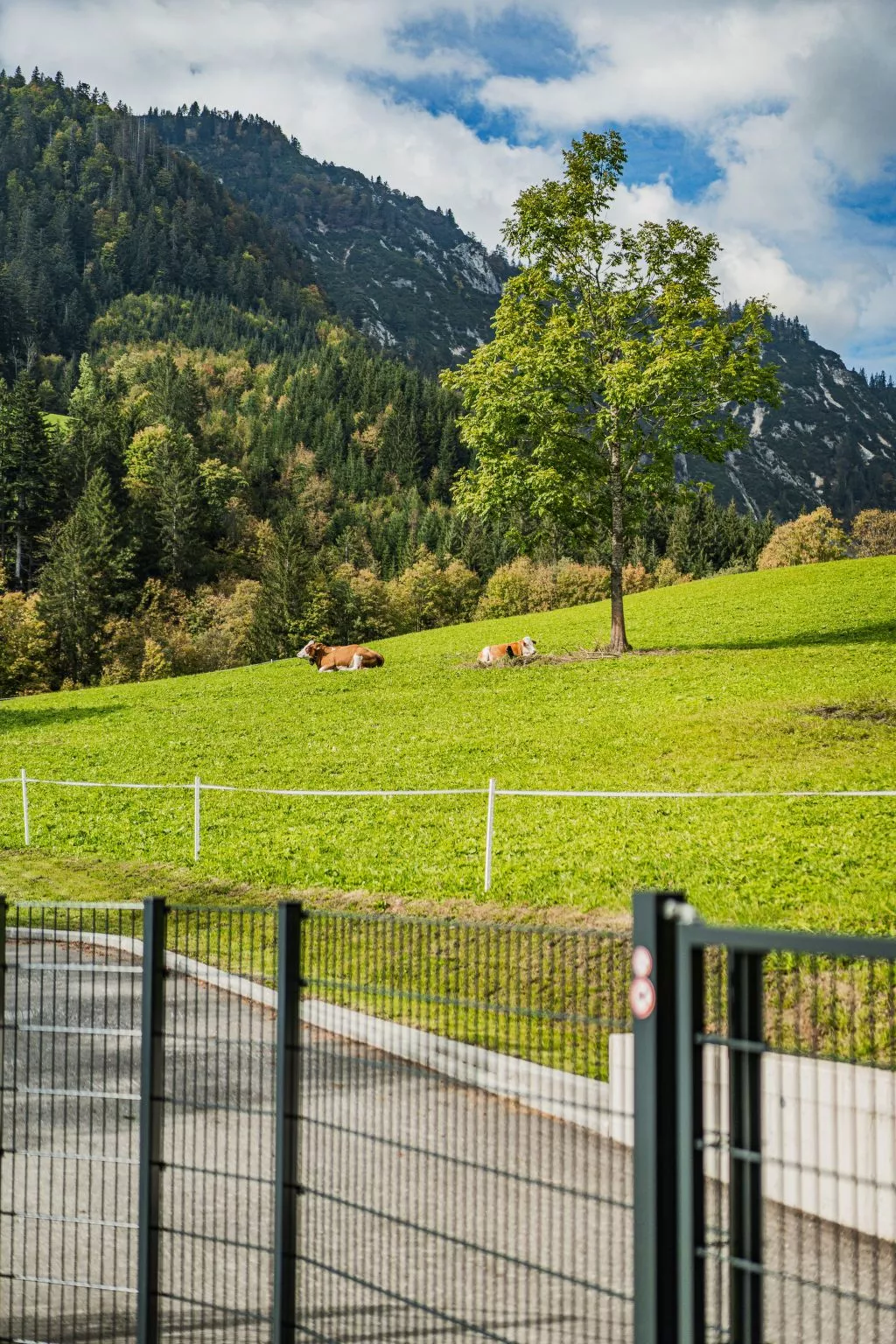Dachstein West 3 - Image-tags.info